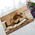 thumbnail image 1 of ABPHQTO Dachshund Professor Doormat Entrance Rug Area Rug Floor Mat Home Decor 30x18 Inch, 1 of 1