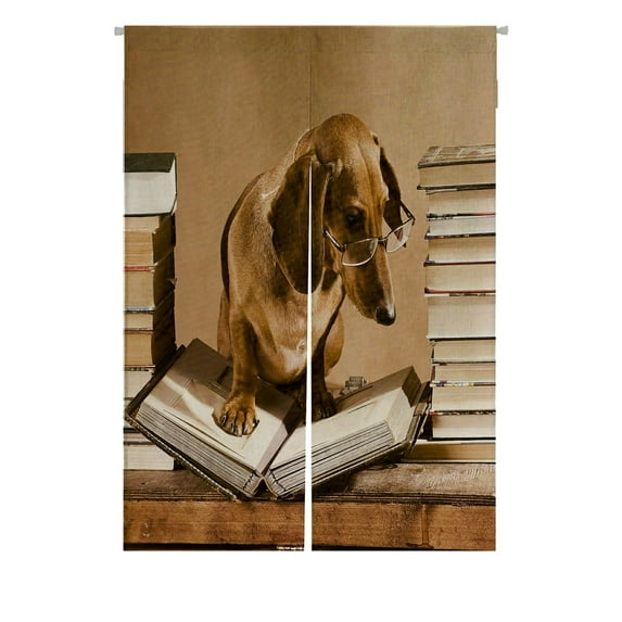 ABPHQTO Dachshund Professor Japanese Noren Curtain Doorway Door Window Treatment Curtains Cotton Linen Curtain 85x120 cm
