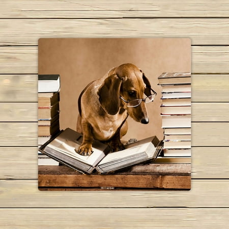 ABPHQTO Dachshund Professor Towels Beach Bath Pool Sprot Travel Hand Spa Towel 13x13 Inch