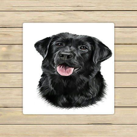 ABPHQTO Drawing Dog Breed Black Labrador Portrait Towels Beach Bath Pool Sprot Travel Hand Spa Towel 13x13 Inch