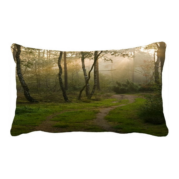 ABPHQTO Early Morning In The Forest Pillow Case Pillow Cover Pillow Protector Two Sides For Couch Bed 20x30 Inch