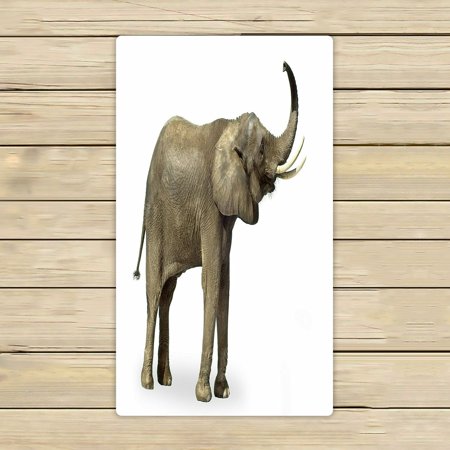 ABPHQTO Elephant Towels Beach Bath Pool Sprot Travel Hand Spa Towel 16x28 Inch