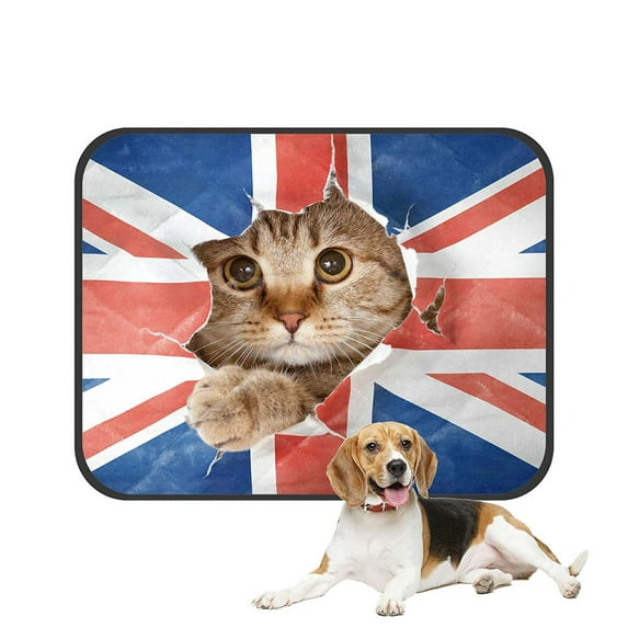 ABPHQTO English Language Studying Copybook Cover Pet Dog Cat Bed Pee Pads Mat Cushion Potty Dogsblankets Crate Bed Kennel 28x36 inch