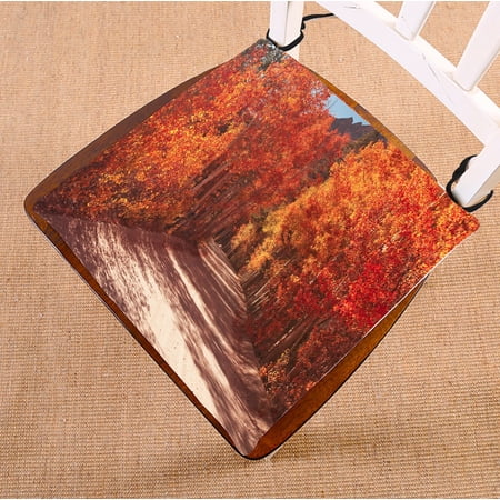 ABPHQTO Fall Foliage Chair Pad Seat Cushion Chair Cushion Floor Cushion Two Sides Printing 20x20 Inch