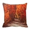 thumbnail image 1 of ABPHQTO Fall Foliage Pillow Case Pillow Cover Pillow Protector Two Sides For Couch Bed 20x20 Inch, 1 of 1