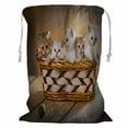 thumbnail image 1 of ABPHQTO Five Kittens Of British Shorthair Breed In The Basket Storage Basket Laundry Bag with Drawstring 18x24 Inch, 1 of 3