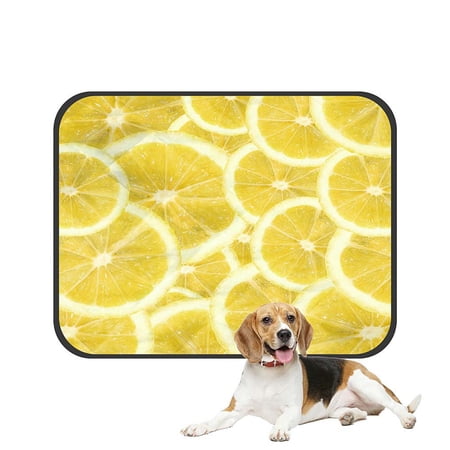ABPHQTO Fresh Yellow Lemon Pet Dog Cat Bed Pee Pads Mat Cushion Potty Dogsblankets Crate Bed Kennel 25x30 inch