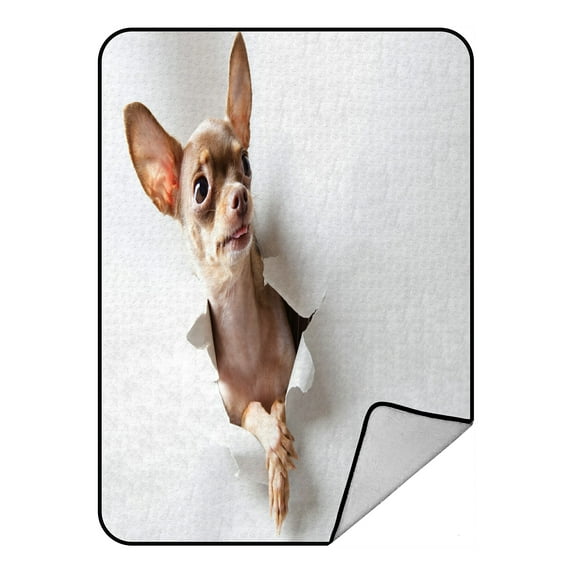 ABPHQTO Funny Little Dog On White Fleece Blanket Fleece Back Throw Blanket 58x80inch