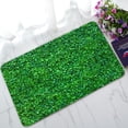 thumbnail image 1 of ABPHQTO Green Leaf Doormat Entrance Rug Area Rug Floor Mat Home Decor 30x18 Inch, 1 of 1