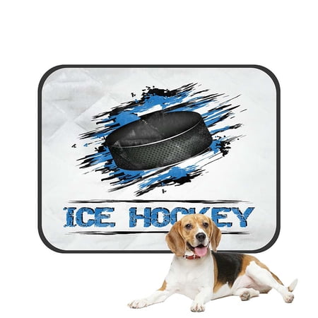 ABPHQTO Ice Hockey Puck Grunge Effect Pet Dog Cat Bed Pee Pads Mat Cushion Potty Dogsblankets Crate Bed Kennel 20x24 inch