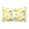 thumbnail image 1 of ABPHQTO Lemons Pillow Case Pillow Cover Pillow Protector Two Sides For Couch Bed 20x30 Inch, 1 of 1