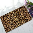 thumbnail image 1 of ABPHQTO Leopard Pattern Doormat Entrance Rug Area Rug Floor Mat Home Decor 30x18 Inch, 1 of 1