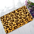 thumbnail image 1 of ABPHQTO Leopard Skin Doormat Entrance Rug Area Rug Floor Mat Home Decor 30x18 Inch, 1 of 1