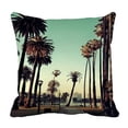 thumbnail image 1 of ABPHQTO Los Angeles Downtown Park View Palm Trees Pillow Case Pillow Cover Pillow Protector Two Sides For Couch Bed 18x18 Inch, 1 of 1