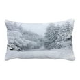 thumbnail image 1 of ABPHQTO Magic Christmas Snowy Fir Trees Pillow Case Pillow Cover Pillow Protector Two Sides For Couch Bed 20x30 Inch, 1 of 1