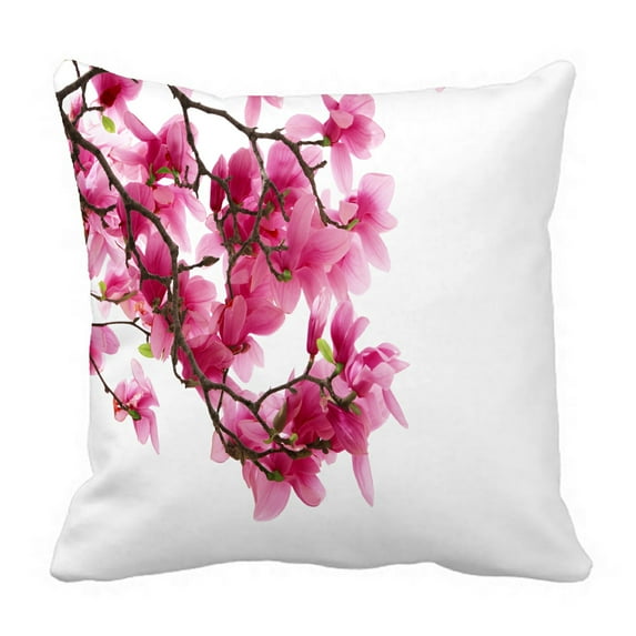 ABPHQTO Magnolia Clusters Isolated On White Pillow Case Pillow Cover Pillow Protector Two Sides For Couch Bed 20x20 Inch