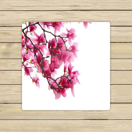 ABPHQTO Magnolia Clusters Isolated On White Towels Beach Bath Pool Sprot Travel Hand Spa Towel 13x13 Inch