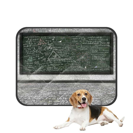 ABPHQTO Maths Formula On Chalkboard In Classroom Pet Dog Cat Bed Pee Pads Mat Cushion Potty Dogs Blankets Crate Bed Kennel 28x36 inch