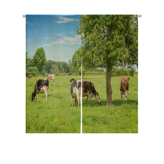 ABPHQTO Norman Black And White Cows Grazing On Grassy Green Field Japanese Noren Curtain Doorway Door Window Treatment Curtains Cotton Linen Curtain 105x120 cm