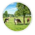 thumbnail image 1 of ABPHQTO Norman Black And White Cows Grazing On Grassy Green Field Round Beach Blanket with Tassels Beach Throw Towel Yoga Mat Picnic Blanket, 1 of 1