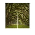 thumbnail image 1 of ABPHQTO Oaks Avenue Plantation Live Oak Trees Forest Landscape Japanese Noren Curtain Doorway Door Window Treatment Curtains Cotton Linen Curtain 85x90 cm, 1 of 1