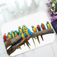 thumbnail image 1 of ABPHQTO Parrots In The Park Doormat Entrance Rug Area Rug Floor Mat Home Decor 23.5x16.7 Inch, 1 of 1