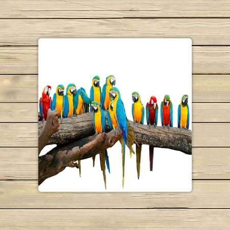 ABPHQTO Parrots In The Park Towels,Beach Bath Pool Sprot Travel Hand Spa Towel 13x13 Inch