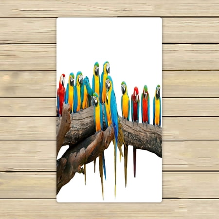 ABPHQTO Parrots In The Park Towels,Beach Bath Pool Sprot Travel Hand Spa Towel 16x28 Inch