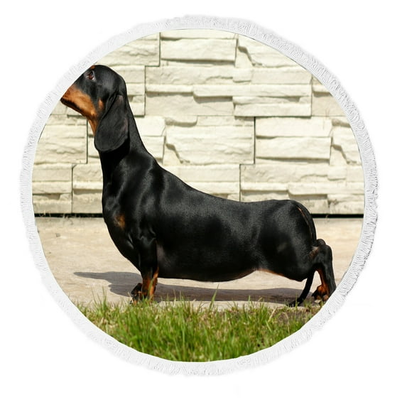 ABPHQTO Pedigreed Dog Dachshund Show Position Summer Lawn Park Round Beach Blanket with Tassels Beach Throw Towel Yoga Mat Picnic Blanket