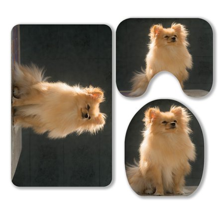 ABPHQTO Pomeranian Brown Dog Breed In Thailand 3 Piece Bathroom Rugs Set Bath Rug Contour Mat and Toilet Lid Cover