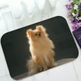 thumbnail image 1 of ABPHQTO Pomeranian Brown Dog Breed In Thailand Doormat Entrance Rug Area Rug Floor Mat Home Decor 23.5x16.7 Inch, 1 of 1