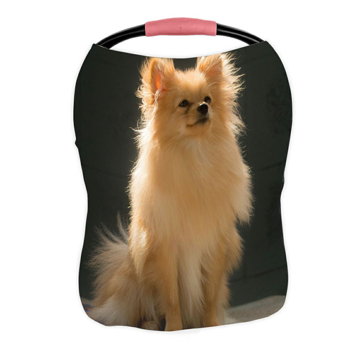 Pomeranian stroller cheap