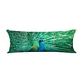 thumbnail image 1 of ABPHQTO Portrait Of Peacock With Feathers Out Body Pillow Covers Pillow Case Protector Pillowcase 20 x 60 Inch, 1 of 1