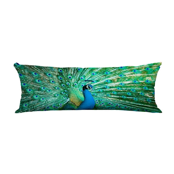 ABPHQTO Portrait Of Peacock With Feathers Out Body Pillow Covers Pillow Case Protector Pillowcase 20 x 60 Inch