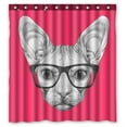 thumbnail image 1 of ABPHQTO Portrait Of Sphynx Cat With Glasses Waterproof Polyester Shower Curtain and Hooks For Home Decor 66x72 Inch, 1 of 1
