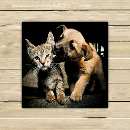 ABPHQTO Puppy Kitty Lick Kiss And Love Towels Beach Bath Pool Sprot Travel Hand Spa Towel 13x13 Inch