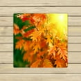 thumbnail image 1 of ABPHQTO Red Autumn Leaves Towels Beach Bath Pool Sprot Travel Hand Spa Towel 13x13 Inch, 1 of 1