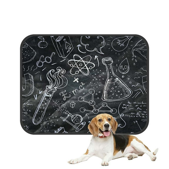 ABPHQTO Science Lab Objects Doodle Sketches Over Blackboard Pet Dog Cat Bed Pee Pads Mat Cushion Potty Dogs Blankets Crate Bed Kennel 20x24 inch