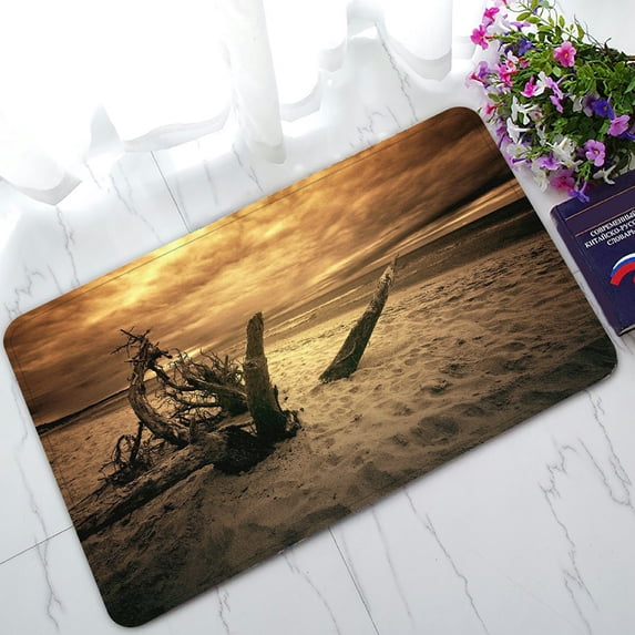 ABPHQTO Sea Ocean Dark Beach Sea Sepia Colors Nature Doormat Entrance Rug Area Rug Floor Mat Home Decor 23.5x16.7 Inch