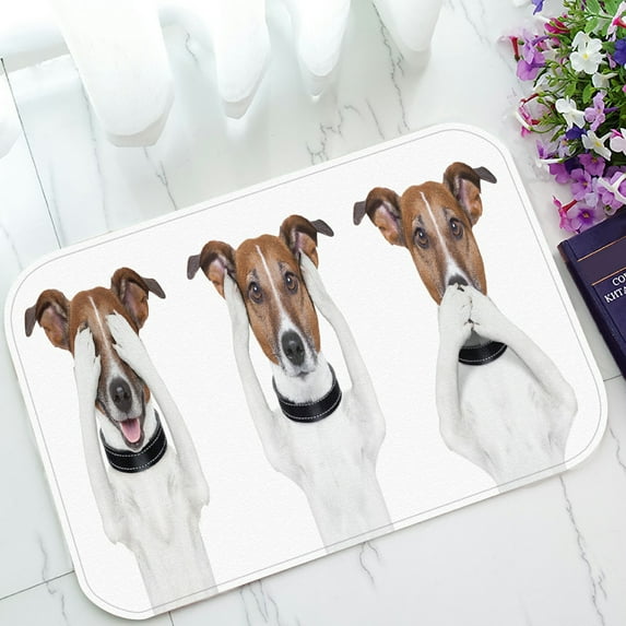 ABPHQTO See No Evil Hear No Evil Speak No Evil Dog Doormat Entrance Rug Area Rug Floor Mat Home Decor 23.5x16.7 Inch