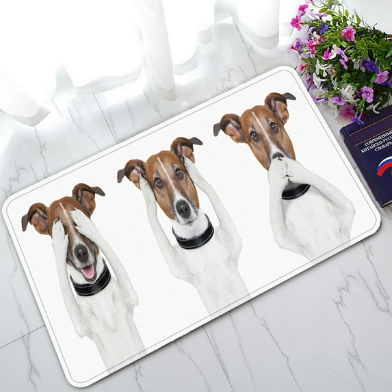 ABPHQTO See No Evil Hear No Evil Speak No Evil Dog Doormat Entrance Rug Area Rug Floor Mat Home Decor 30x18 Inch