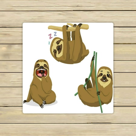 ABPHQTO Sloth Rain Forest Two Toed Lazy Mammal Hanging Sloths Towels,Beach Bath Pool Sprot Travel Hand Spa Towel 13x13 Inch
