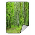 thumbnail image 1 of ABPHQTO Spring Green Czech Forest Fleece Blanket Fleece Back Throw Blanket 58x80 inch, 1 of 1