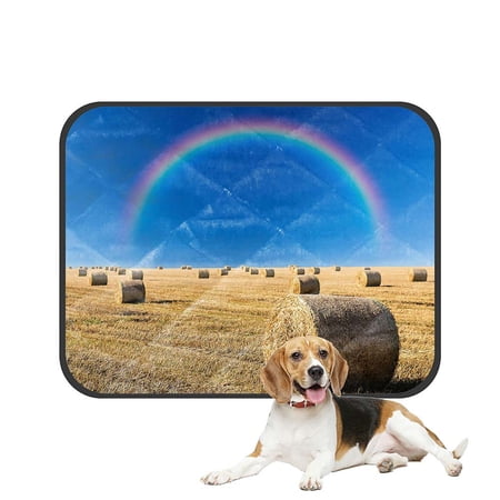 ABPHQTO Straw Bales And A Rainbow Pet Dog Cat Bed Pee Pads Mat Cushion Potty Dogs Blankets Crate Bed Kennel 36x48 inch