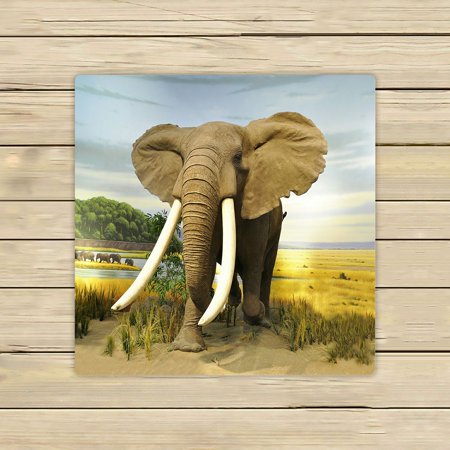 ABPHQTO Stuffed African Elephant Towels,Beach Bath Pool Sprot Travel Hand Spa Towel 13x13 Inch