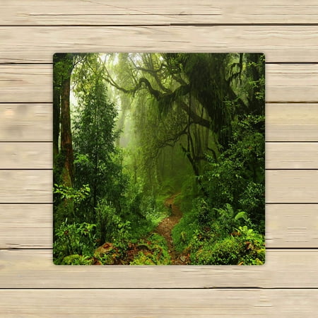 ABPHQTO Subtropical Forest In Nepal Towels Beach Bath Pool Sprot Travel Hand Spa Towel 13x13 Inch