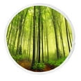 thumbnail image 1 of ABPHQTO Summer Fog Forest Round Beach Blanket with Tassels Beach Throw Towel Yoga Mat Picnic Blanket, 1 of 1