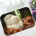 thumbnail image 1 of ABPHQTO The Rare Edible Lion'S Mane Mushroom Doormat Entrance Rug Area Rug Floor Mat Home Decor 23.5x16.7 Inch, 1 of 1