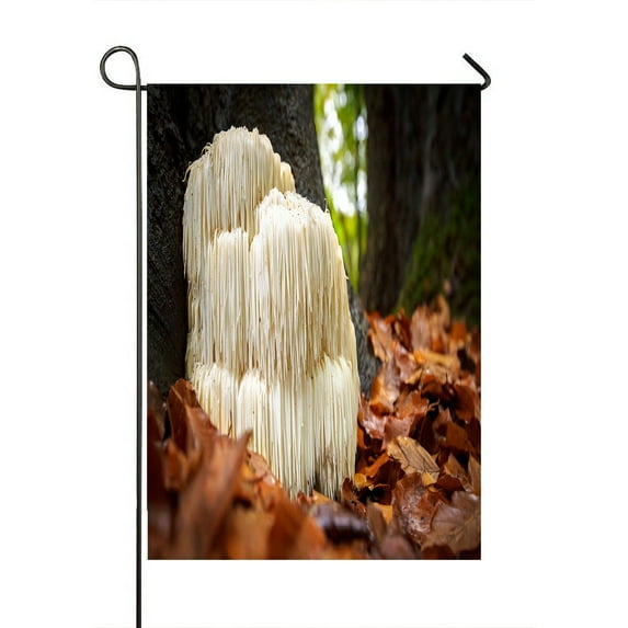ABPHQTO The Rare Edible Lion'S Mane Mushroom Home Outdoor Garden Flag House Banner Size 28x40 Inch