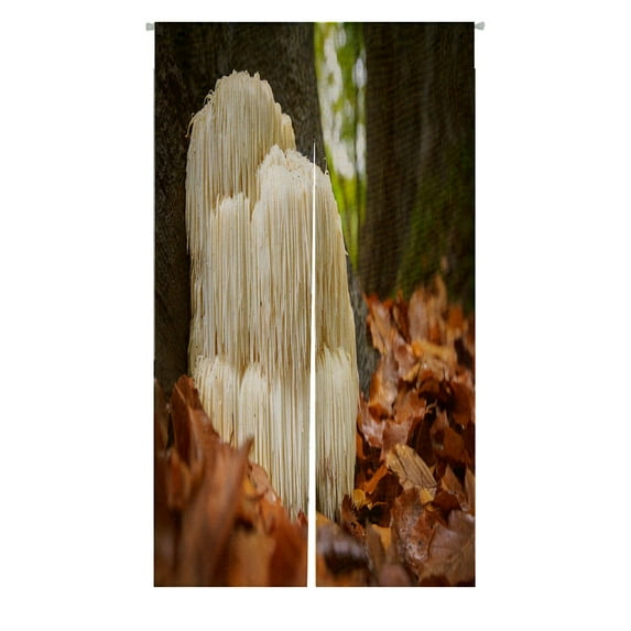 ABPHQTO The Rare Edible Lion'S Mane Mushroom Japanese Noren Curtain Doorway Door Window Treatment Curtains Cotton Linen Curtain 85x150 cm